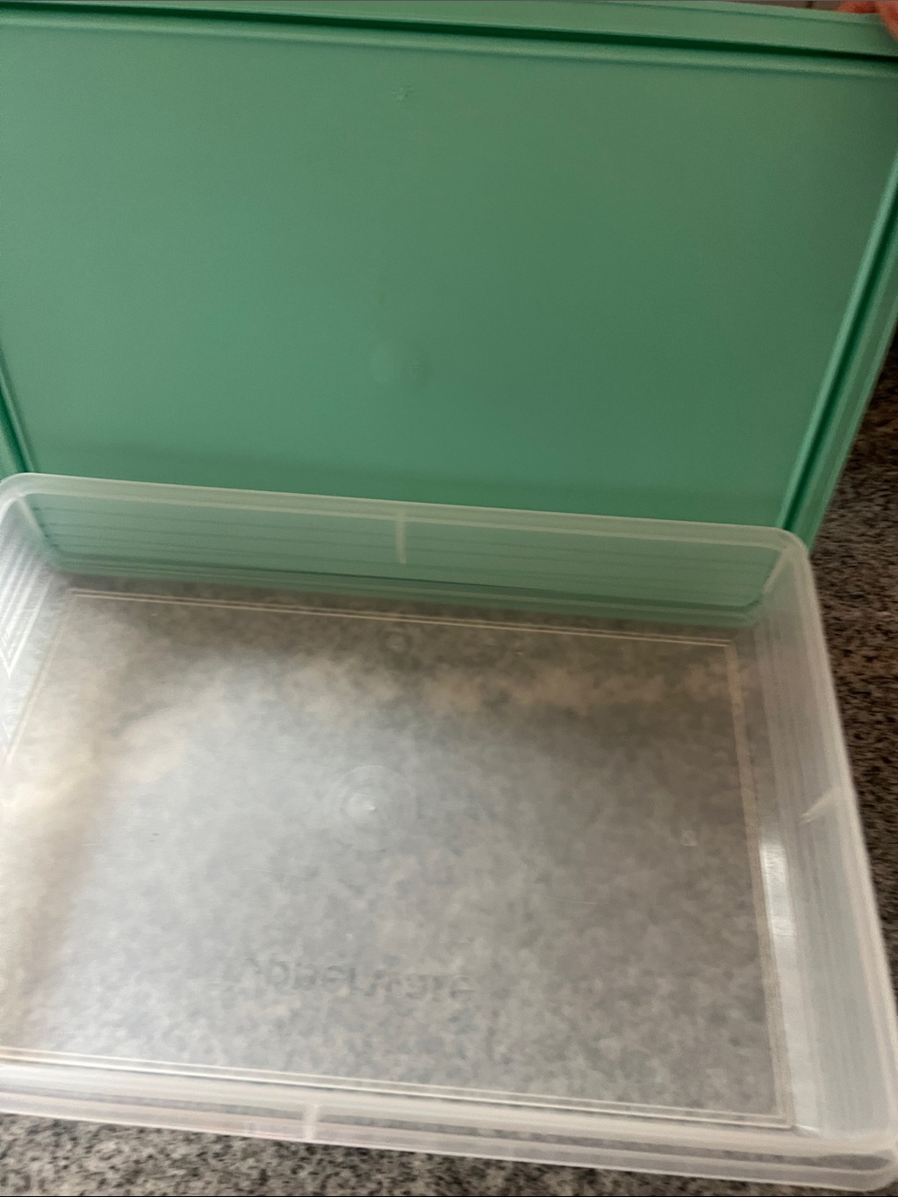 Tupperware Container  - Mint Green - Picture 3 of 3